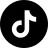 TikTok icon